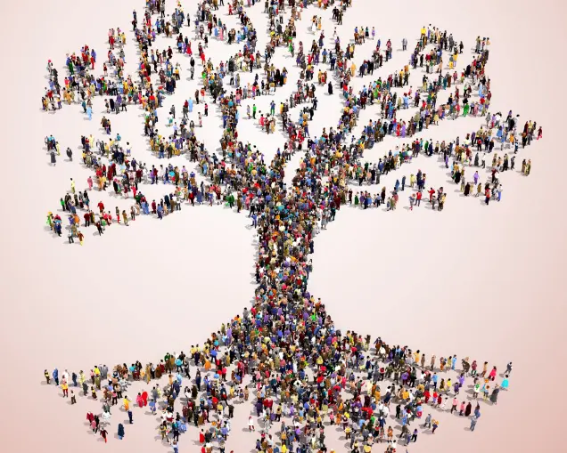 Atelier „Conștientizarea Matricei”